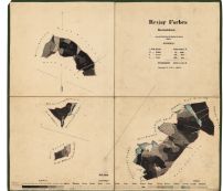 Porostní mapa revíru Forbes 1865