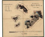 Porostní mapa revíru Forbes 1855