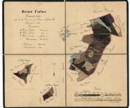 Porostní mapa revíru Forbes 1885