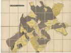 Porostní mapa revíru Svatý Hubert