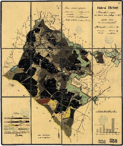 Porostní mapa polesí Plešný
