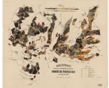 Porostní mapa Domoušického lesního okrsku pro exkurzi ČJL v roce 1881