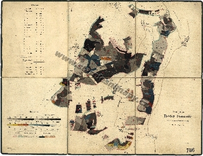 Porostní mapa Domoušického revíru