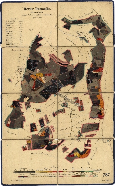 Porostní mapa Domoušického revíru