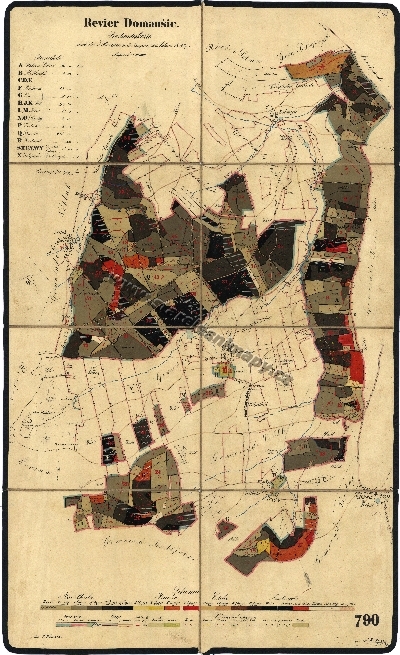 Porostní mapa Domoušického revíru