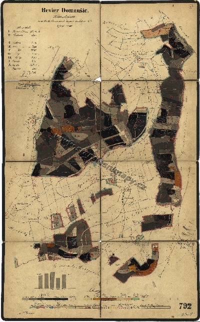 Porostní mapa Domoušického revíru
