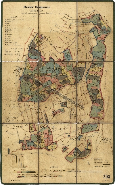 Porostní mapa Domoušického revíru