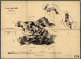 Porostní mapa revíru Burgholz
