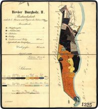 Porostní mapa revíru Burgholz II.