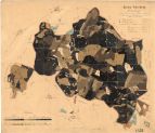 Porostní mapa revíru Velechvín
