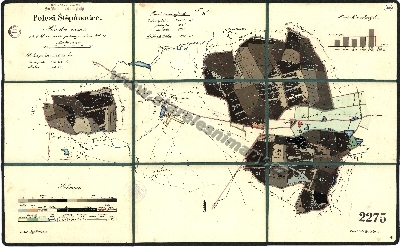 Porostní mapa polesí Štěpánovice