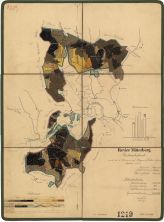 Porostní mapa revíru Mitterberg