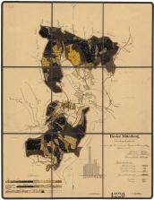 Porostní mapa revíru Mitterberg