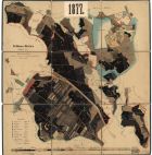 Porostní mapa Zámeckého revíru