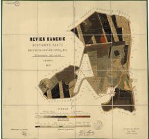 Porostní mapa revíru Kamenice