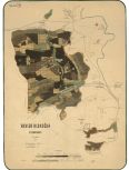 Porostní mapa revíru Klokočka