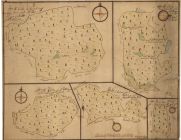 Geometrická mapa panských lesů Hůrka, Podolí, Dub, Vyjejvy a Zadní Budař