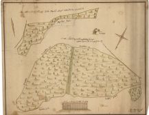 Geometrická mapa panského lesa Malý Sviník a přilehlé pastviny