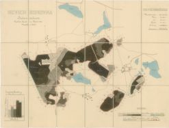 Porostní mapa revíru Borovná