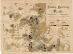 Panství Vorlík - porostní mapa pro vycházku ČLJ v srpnu 1893