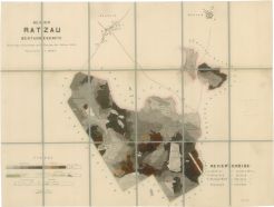 Porostní mapa revíru Rácov dle stavu z r. 1884