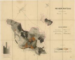 Porostní mapa revíru Rácov