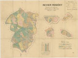 Porostní mapa revíru Rosičky podle stavu na podzim 1905
