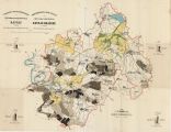 Mapa přehledná a mapa porostů lesů knížete Jana z Liechtensteinů Rataje Hražené nad Sázavou