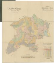 Porostní mapa revíru Řásná podle stavu 1923