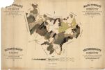 Mapa porostů revíru Vickovice a Dobrovítov