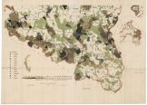 Přehlední a porostní mapa na panství Nasavržském pro vycházku ČLJ