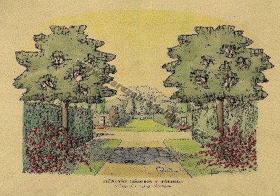 Městský hřbitov v Třebíči - střed dětského hřbitova