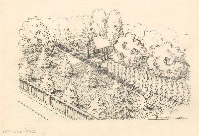 Zahrada, pan Bakule - Krč